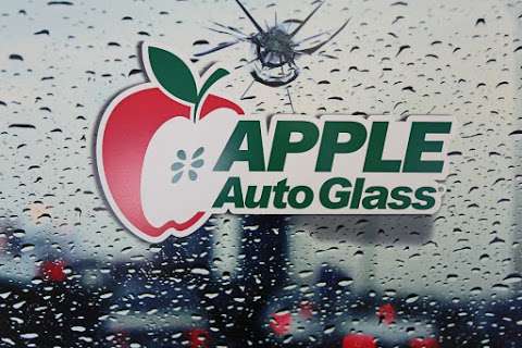 Apple Auto Glass